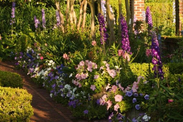 spring-bloom-greg-lepera