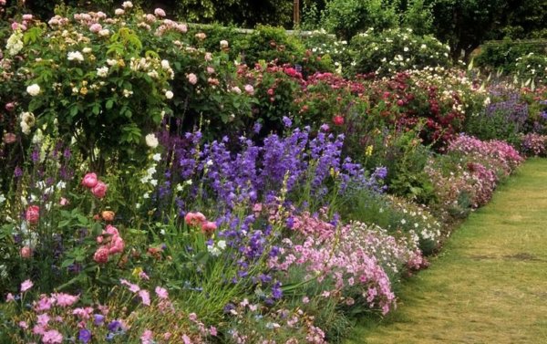 english-flower-border