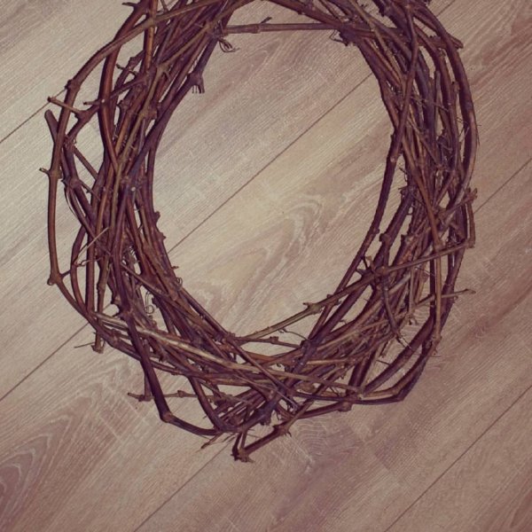 15000601_366152533717845_8752998664046679727_o